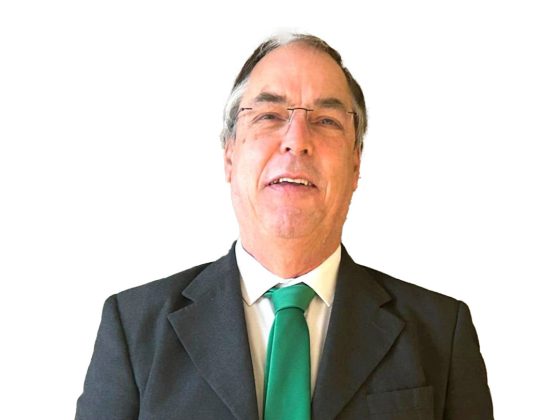 Pedro Botelho diretor comercial do Porto da Transitex